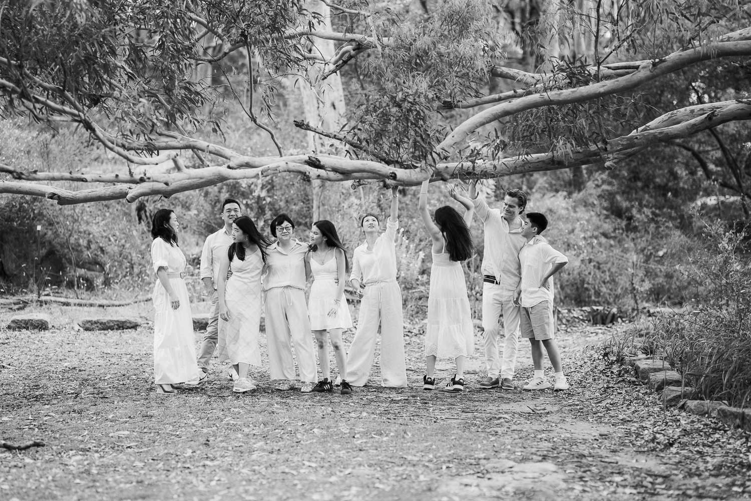 An extended family photo at the park with everyone enjoying themselves hanging out under a big tree