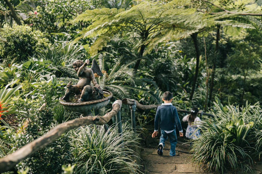 Rustic stone pathway lined with wildflowers, perfect for family portraits in Sydney