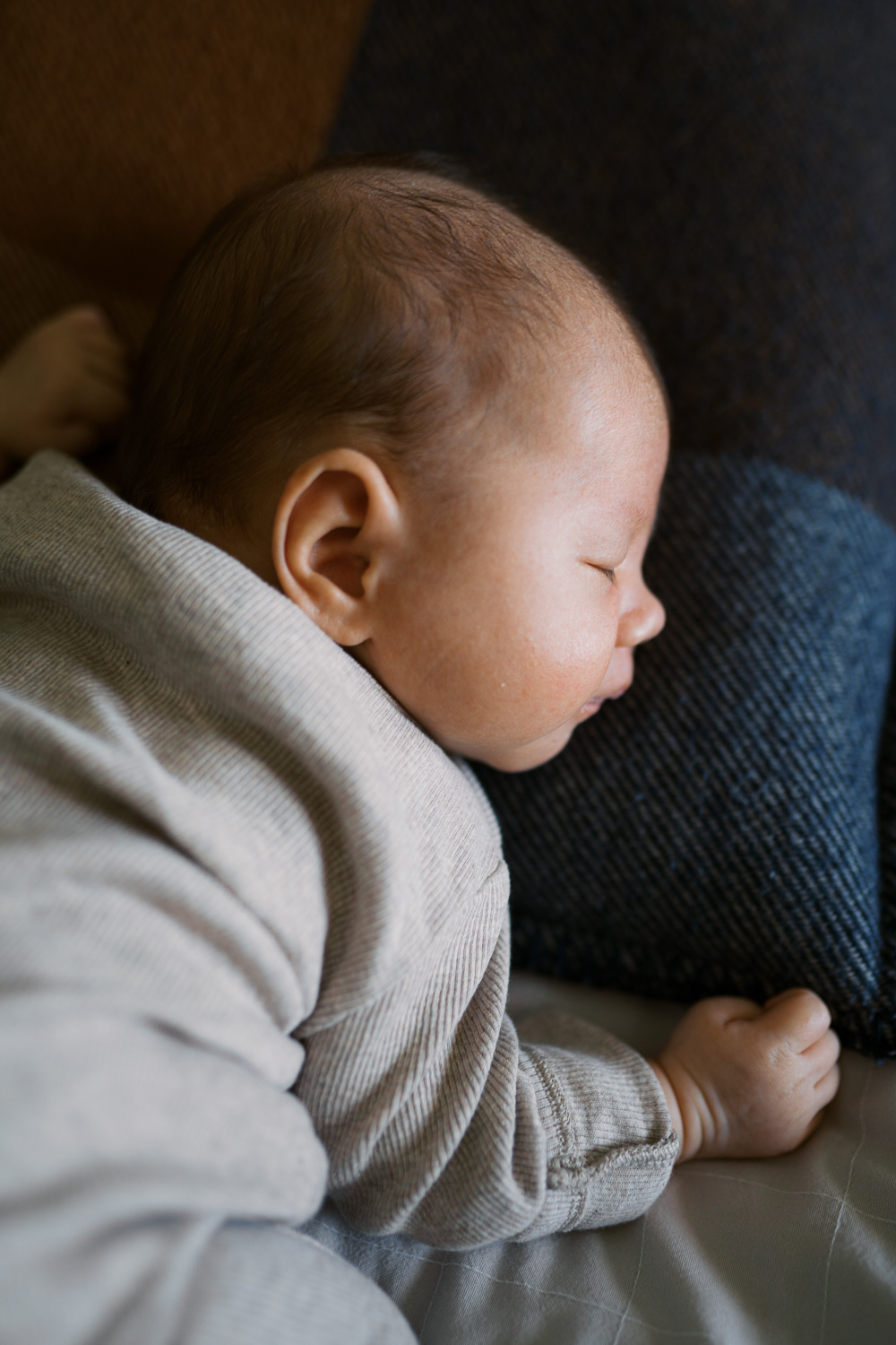 Newborn baby asleep on his tummy in calm, cosy morning window light
